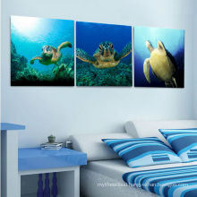 Turtles Picture Canvas Art for Kids